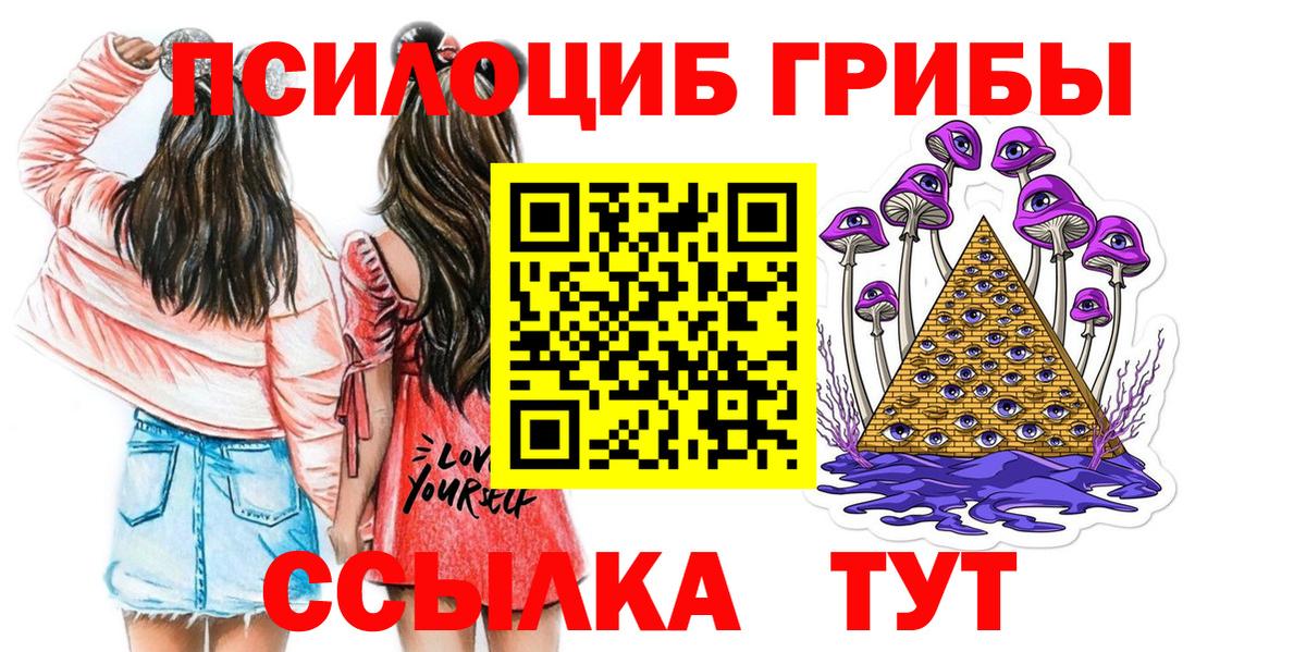 Псилоцибиновые грибы Cubensis Красноярск