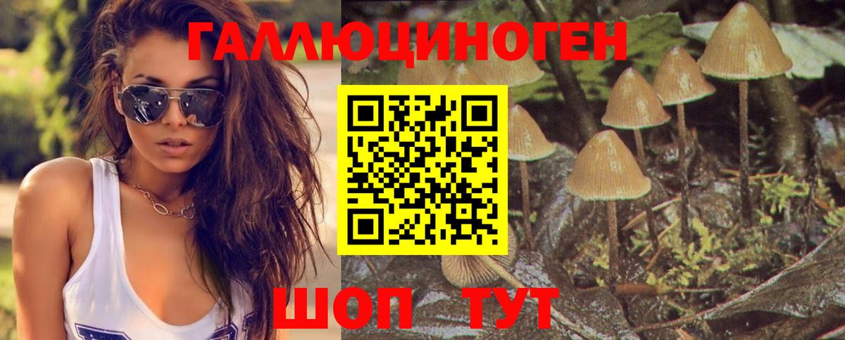 Галлюциногенные грибы Psilocybine cubensis  Вход с VPN  Галлюциногенные грибы Magic Shrooms  дарнет шоп  Красноярск 